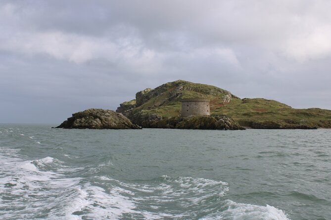 Ferry to Ireland's Eye in Howth - The Nature Story: Puffins, Gannets, and Seals Up Close (When They Want To Be)