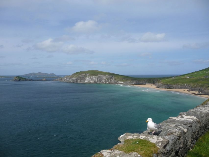 From Dublin: 5-Day Tour to the Southwest with Accommodation - Galway City Night: Your Base for a Proper Day’s Reset