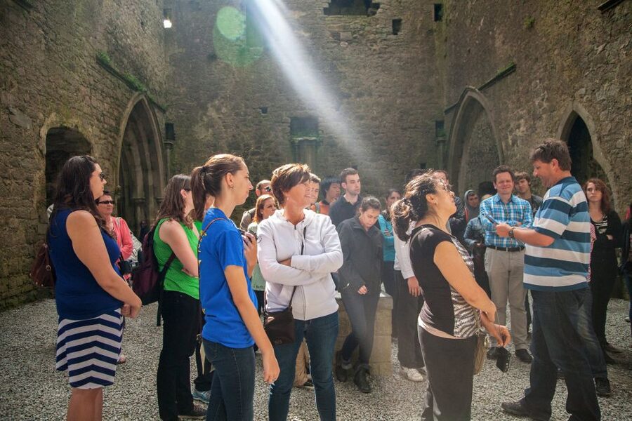 From Dublin: Blarney, Rock of Cashel and Cahir Castles Tour - Who this tour suits best (and who should think twice)