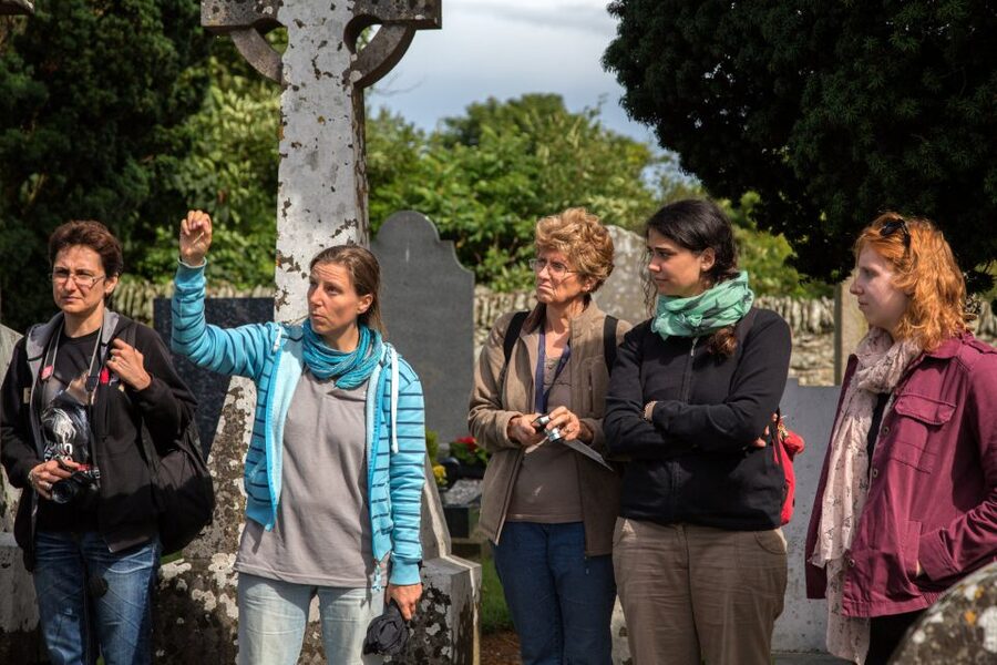 From Dublin: Celtic Boyne Valley and Ancient Sites Tour - Key takeaways before you go