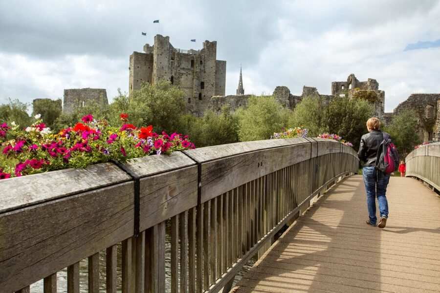 From Dublin: Celtic Boyne Valley and Ancient Sites Tour - Fore Abbey: Saint Fechin, monastic life, and the ruins at the right pace