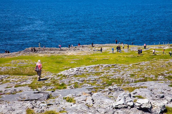 From Dublin: Cliffs of Moher, Bird of Prey & Aillwee Cave - Boat vs. Bird of Prey: Weather Changes the Way You See the Coast