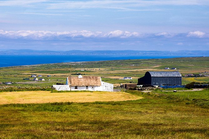 From Dublin: Cliffs of Moher, Bird of Prey & Aillwee Cave - What the Day Feels Like: Timing, Crowds, and Getting Back to Dublin