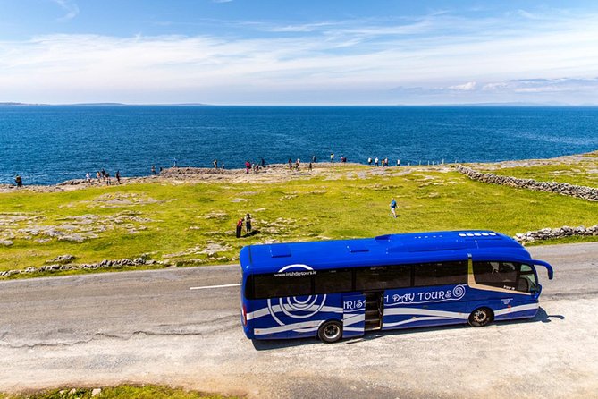 From Dublin: Cliffs of Moher, Boat Tour & Ailwee Caves - Price and logistics: what $156.20 buys you (and what it doesn’t)
