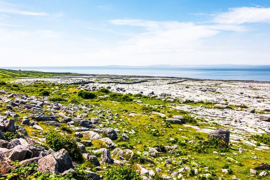 From Dublin: Cliffs of Moher, Burren & Galway City Day Tour - What You’re Paying For: Value at $89 per Person