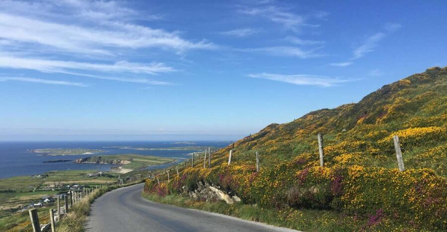 From Dublin: Connemara and Galway Bay Day Tour - Key highlights worth planning for