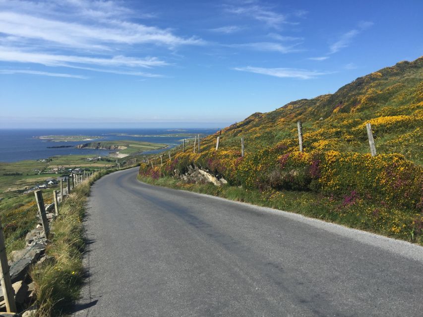 From Dublin: Connemara and Galway Bay Day Tour - Leenane and Killary Harbour: the closest thing to a fjord moment