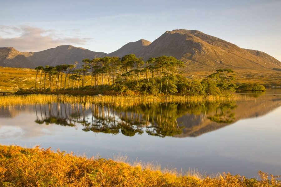 From Dublin: Connemara and Galway Full-Day Tour - A Few Real-World Tips Before You Go
