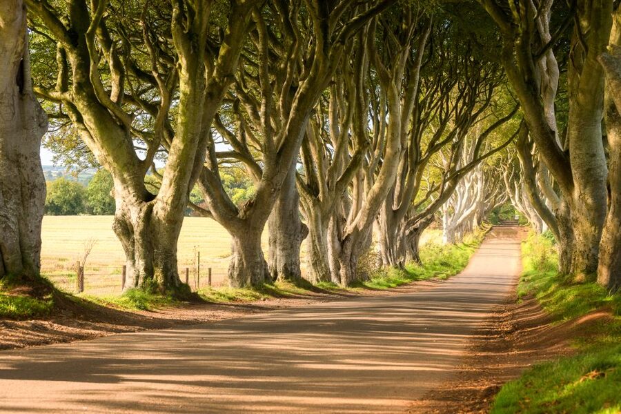 From Dublin: Giant's Causeway & Belfast Titanic with Ticket - Belfast free time: what you can see in about 30 minutes