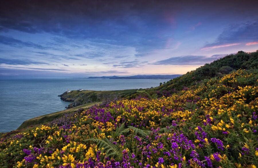 From Dublin: Half-Day Guided Coastal Tour to Howth Village - Howth in Four Hours: Why This Half-Day Works