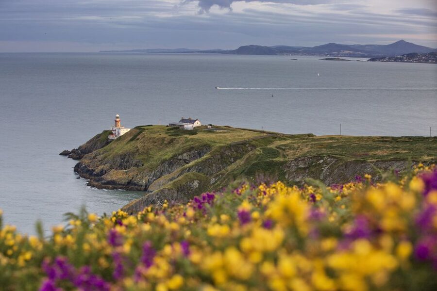 From Dublin: Half-Day Guided Coastal Tour to Howth Village - The Bus Ride Out to Howth Summit: Use the Time Wisely