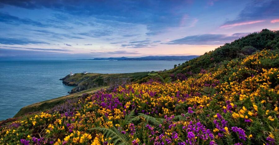 From Dublin: Half-Day Guided Coastal Tour to Howth Village - Getting Started at O’Connell Street Upper: Simple, Central, Predictable