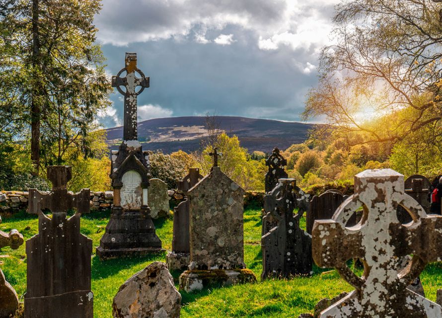 From Dublin: Half-Day Trip to Glendalough and Wicklow - Wildlife spotting in the oaks: red squirrels and deer chances