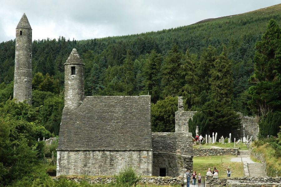 From Dublin: Wicklow Mountains, Glendalough, & Kilkenny Tour - Working Sheep Farm and Irish Collie Trials: The Moment That Feels Most Real