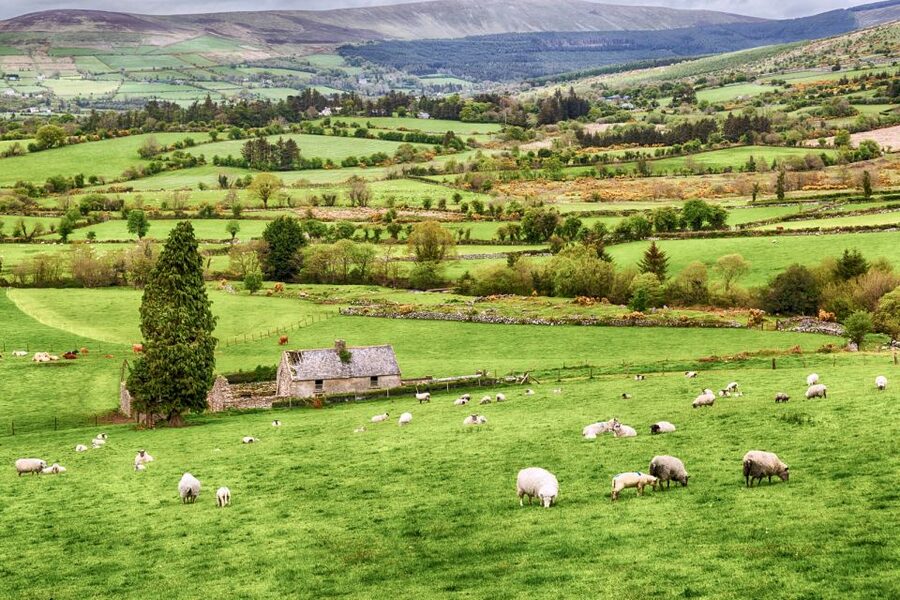 From Dublin: Wicklow Mountains, Glendalough & Kilkenny Tour - Who should book this tour, and who should skip it