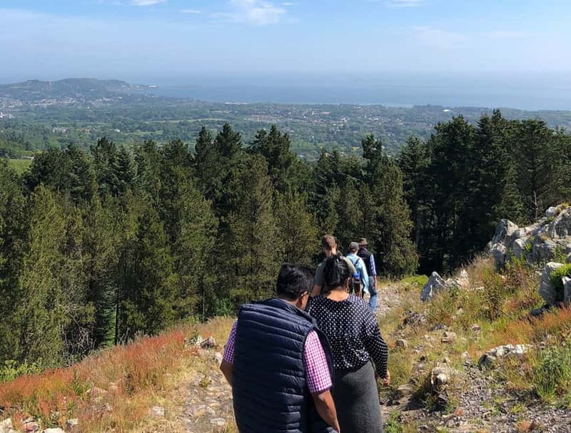 From Dublin: Wicklow, Powerscourt, and Glendalough Day Tour - Powerscourt vs. a Hike: Picking the Right Pace for Your Group