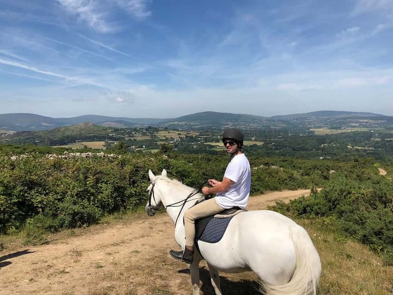 From Dublin: Wicklow, Powerscourt, and Glendalough Day Tour - Powerscourt House and Gardens: Why the Estate Gets Top Time