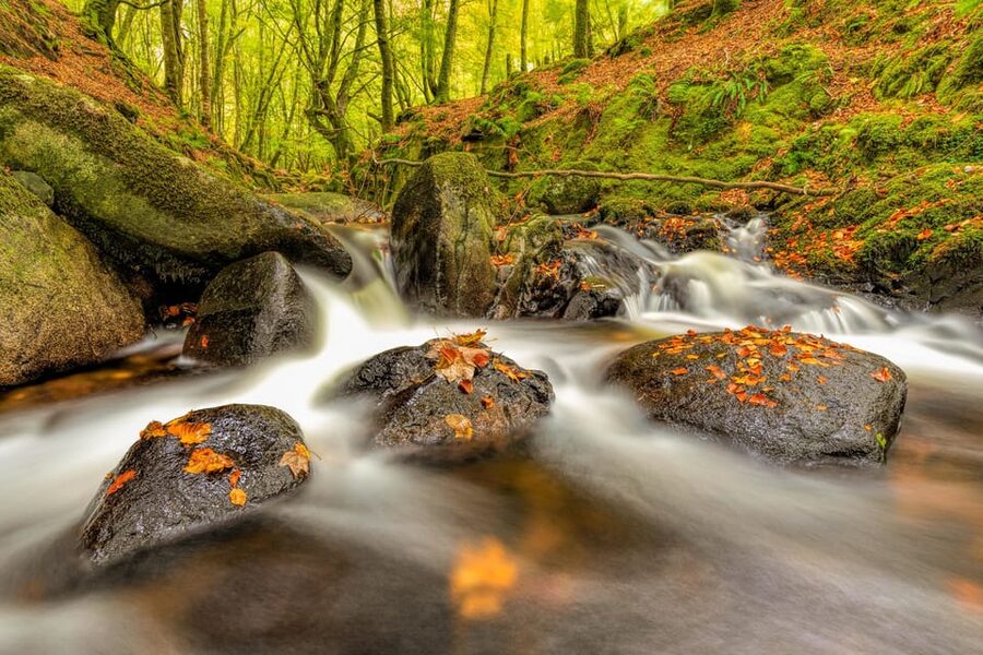 From Dublin: Wild Wicklow Mountains and Glendalough Tour - Price and value: what you’re really paying for