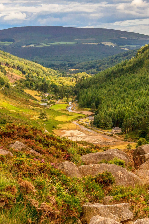 From Dublin: Wild Wicklow Mountains and Glendalough Tour - Killiney Hill first: the coastal warm-up before the mountains