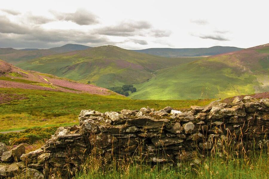 From Dublin: Wild Wicklow Mountains and Glendalough Tour - Lynhams of Laragh lunch: plan for your own food cost