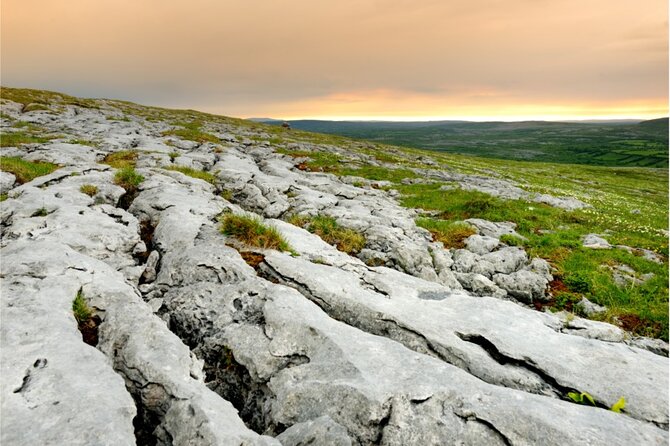 Full-Day Private Tour in West Coast of Ireland - A West Coast day built around Dunguaire, the Burren, and the Cliffs