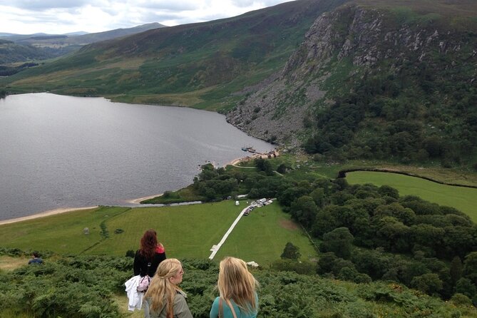 Full Day Private Wicklow Tour - Sally Gap: Mountain Pass Views and the Guinness Lake Movie Connection