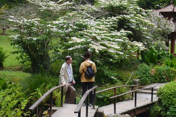 Full Day Private Wicklow Tour - Glendalough Monastic Settlement: 6th-Century Ruins and Two Lakes to Walk Off Steam