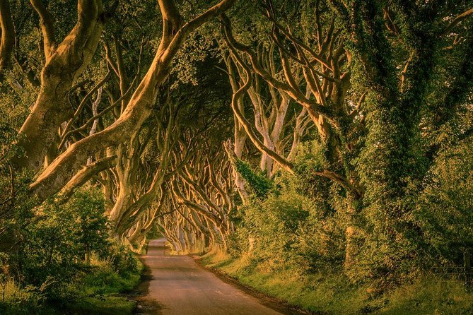 Giant Causeway, Dark Hedges & Whiskey Distillery tour from Dublin - Giant’s Causeway: walking basalt columns like you mean it
