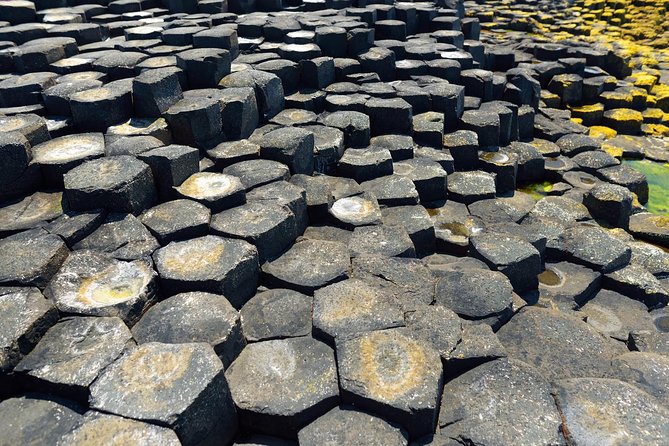 Giant's Causeway Custom Tailored Award Winning Private Tour. - Giant’s Causeway: basalt columns and a real sense of scale