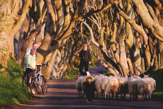 Giant's Causeway Day Tour from Dublin - Belfast in One Hour: A City Taste Near City Hall