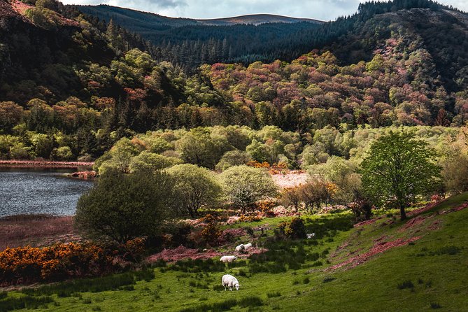 Glendalough Day Tour from Dublin: Including Kilkenny City - Who This Is Best For (and Who Should Consider Alternatives)