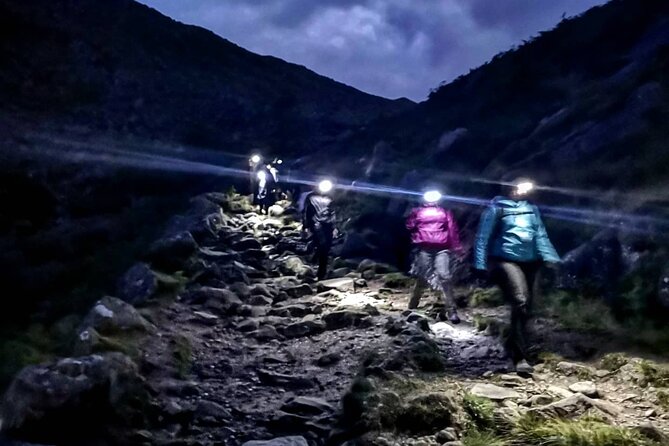 Glendalough Night Hike and History Tour - Wildlife watching works best when you match the timing