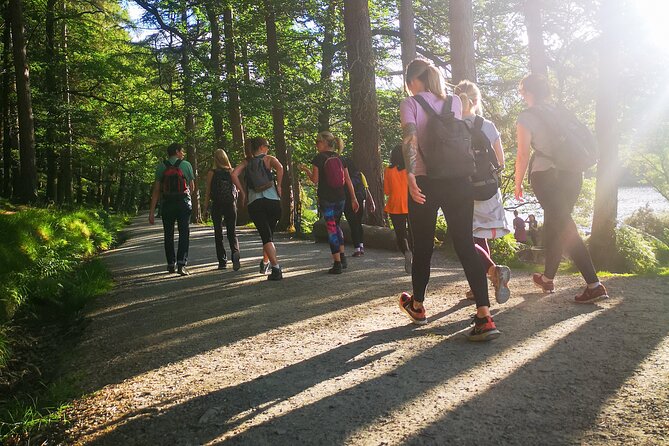 Glendalough Night Hike and History Tour - Headlamps and pace: what to expect from “night hiking”