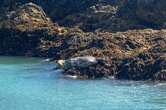 Howth Cliffs and Ireland's Eye Ferry Boat Tour - Cruising the Howth Cliffs and Dublin Bay with live talk from Captain Mark