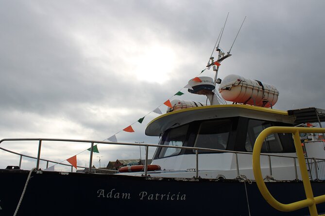 Howth Cliffs and Ireland's Eye Ferry Boat Tour - Ireland’s Eye: seals, birds, Martello Tower, and the Kirwan murder story