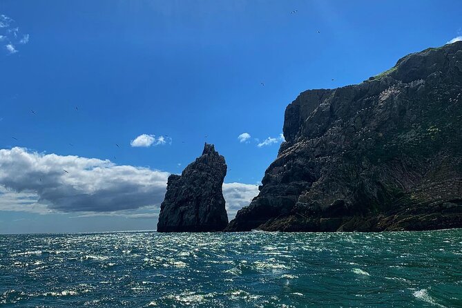 Howth Cliffs and Ireland's Eye Ferry Boat Tour - Price and time value: why $24.20 works (and when it might not)