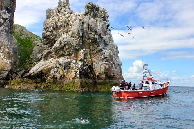 Howth Coastal Boat Tour (Ireland's Eye Ferries 50 mins trip) - Quick Highlights (What’s worth your time)