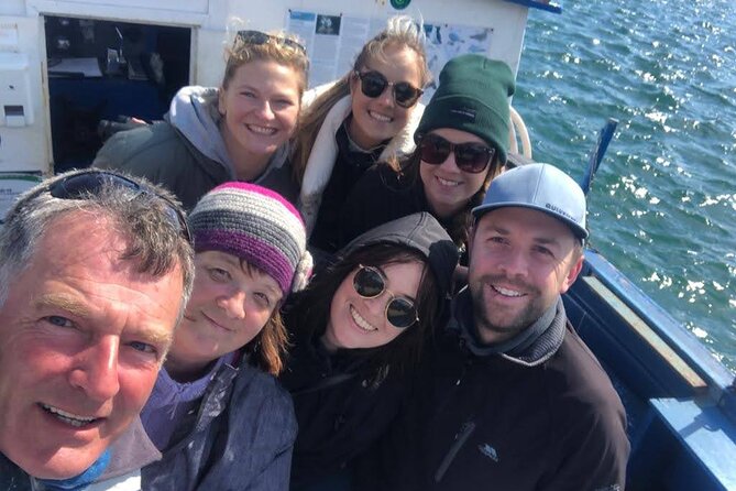 Howth Coastal Boat Tour (Ireland's Eye Ferries 50 mins trip) - Wildlife viewing: seals, seabirds, and the seasonal reality (puffins)
