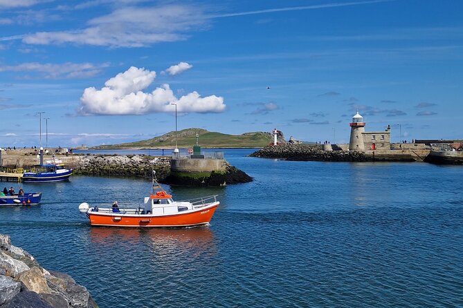 Howth Coastal Boat Tour (Ireland's Eye Ferries 50 mins trip) - Price and value: $30.25 for a close-up wildlife cruise