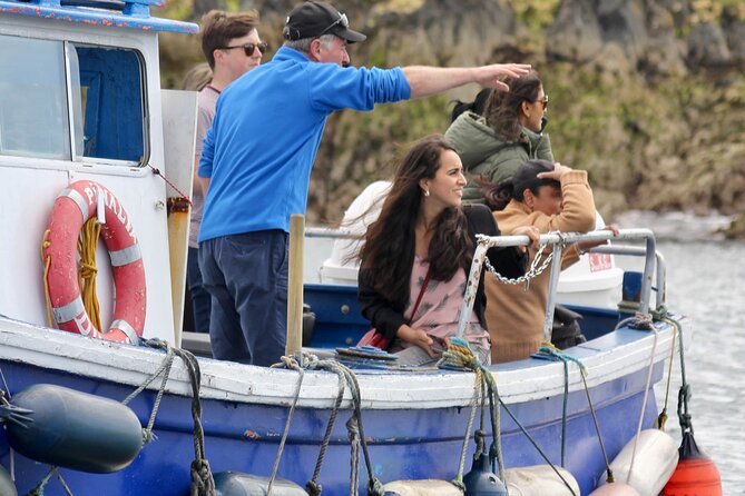 Howth Coastal Boat Tour (Ireland's Eye Ferries 50 mins trip) - The route logic: Howth first, then out toward Ireland’s Eye