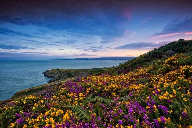 Howth Coastal Half-Day Bus Tour from Dublin with Live Guide - The Howth Summit Cliff Walk: Views, Mud, and the Right Expectations
