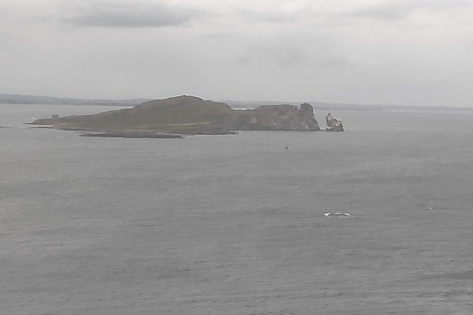 Howth Hiking Trail from Dublin: Mythology and Legend - Guides who mix legends with real nature talk