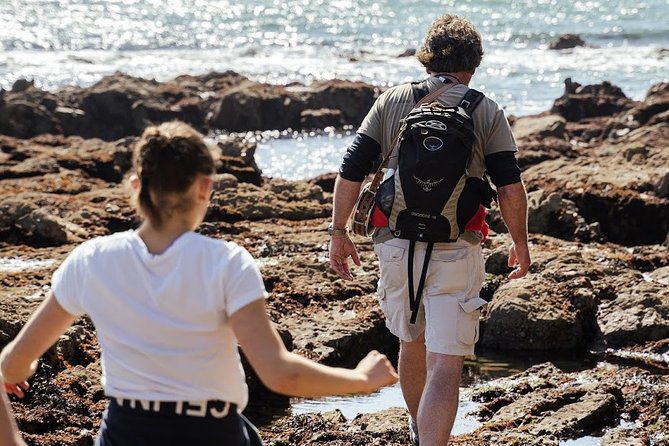 Howth Safari Hiking Tour - From Howth toward sea views: heathland, wildlife, and Dublin Bay in layers