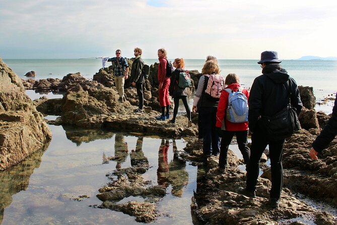 Howth Safari Hiking Tour - Price and value: what $71.38 buys you in real terms