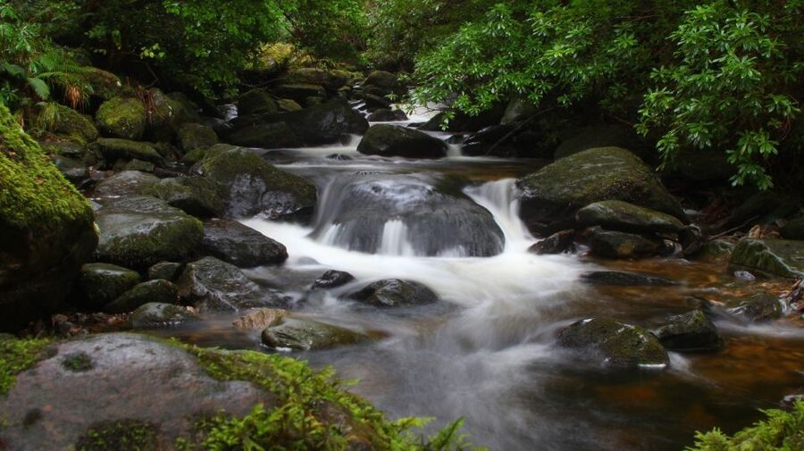 Ireland: 2 Day Wild Atlantic Way Tour - Should You Book the 2-Day Wild Atlantic Way Tour?