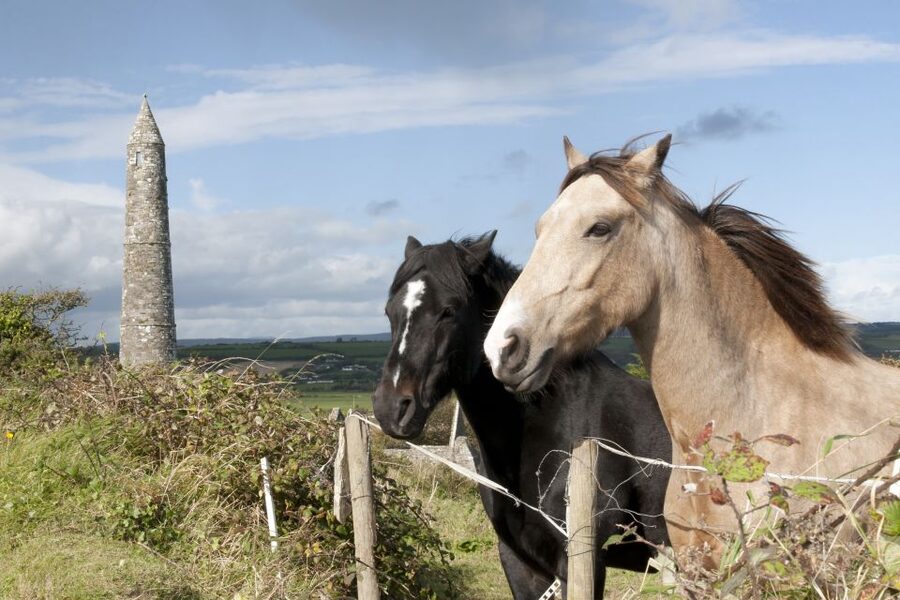 Ireland: Blarney Castle, Kilkenny & Irish Whiskey 3-Day Tour - Kilkenny by evening: friendly city energy after a long day