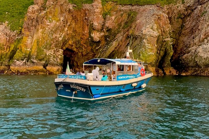 Ireland's Eye and Howth Coastal Boat Tour - Ireland’s Eye itself: the island loop and the nature reserve feel