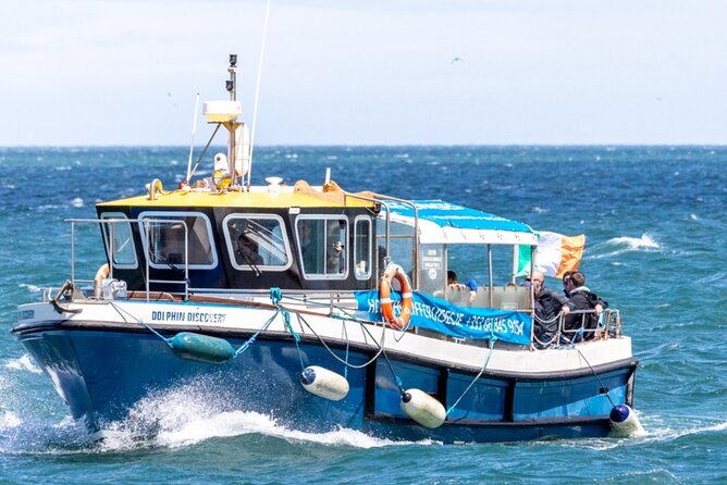 Ireland's Eye and Howth Coastal Boat Tour - Weather and safety reality check (including one messy outlier)