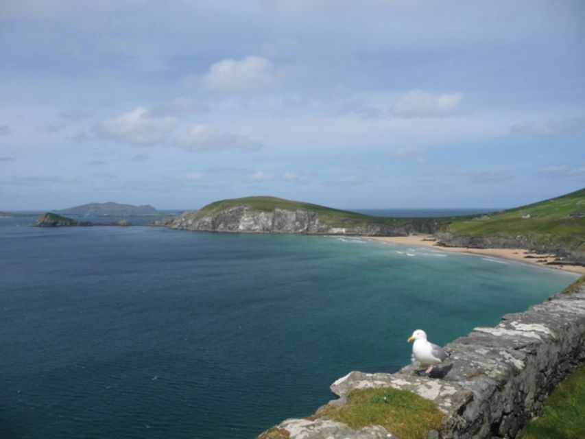 Ireland's North Atlantic Coast 5-Day Tour from Dublin - Transport Comfort and the Small-Group Advantage (16 Seats Helps)
