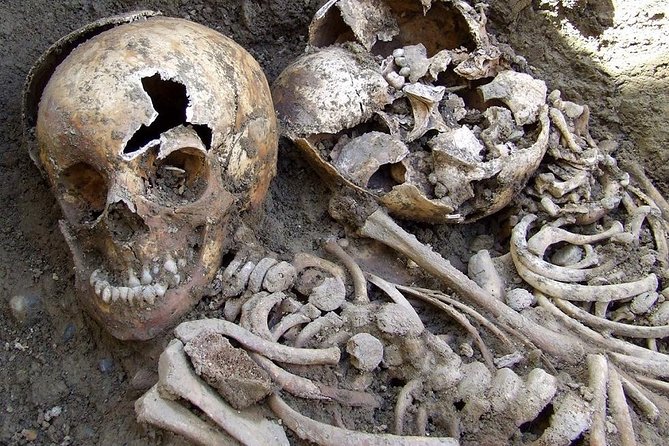 Irish Famine Museum / Exhibition Dublin - The 15-Minute Documentary Film: Short, Focused, Not a Full Production
